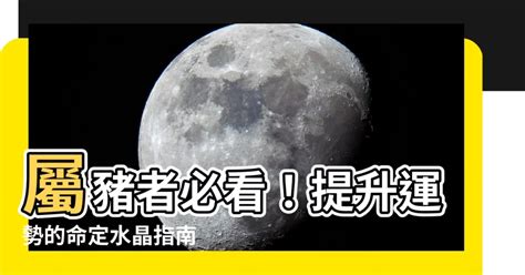 屬豬適合方位|【屬豬房子方位】屬豬者必看！房子方位風水全解析，招財旺運吉。